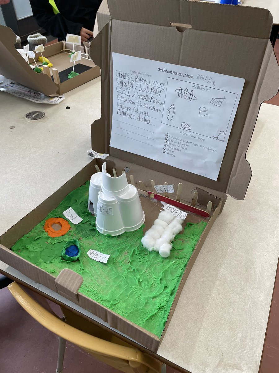 mrsbowesteaches's tweet photo. On Friday we took a gallery walk to look at all of our completed chicken habitats. They turned out fantastic. It was great to hear students share their compliments about their peers work! #lifecycles #habitats #labelling #classcommunity https://t.co/j9rvRBXDAa