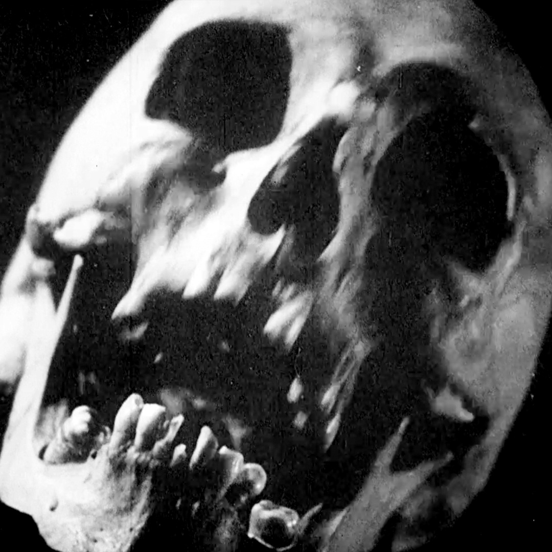 Bleeding Skull tweet media