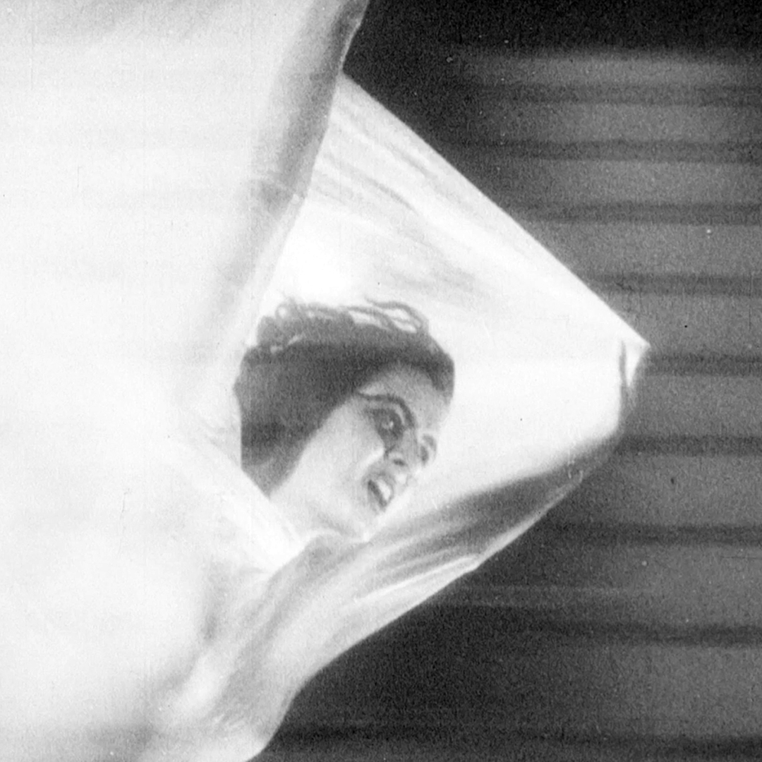 Bleeding Skull tweet media