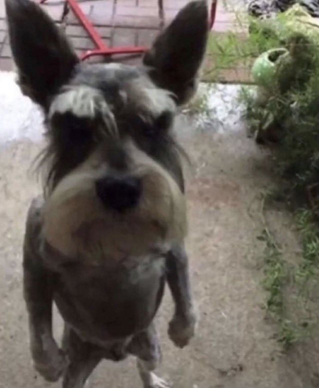 yamatosdeath tweet media