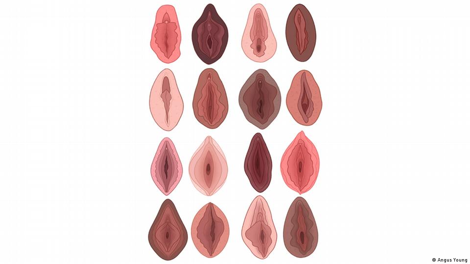 kantong_ajaib13's tweet photo. FOR EDUCATION ,TERNYATA SETIAP PEREMPUAB ITU PUNYA BENTUK YANG BERBEDA BEDA DARI SEGI UKURAN DAN WARNA !
untuk kaum laki laki perlu banyak tau ni, biar gak nyepelihin bilang hitam lah ! Jengger ayam lah !

~a thread https://t.co/YPE223SfIb