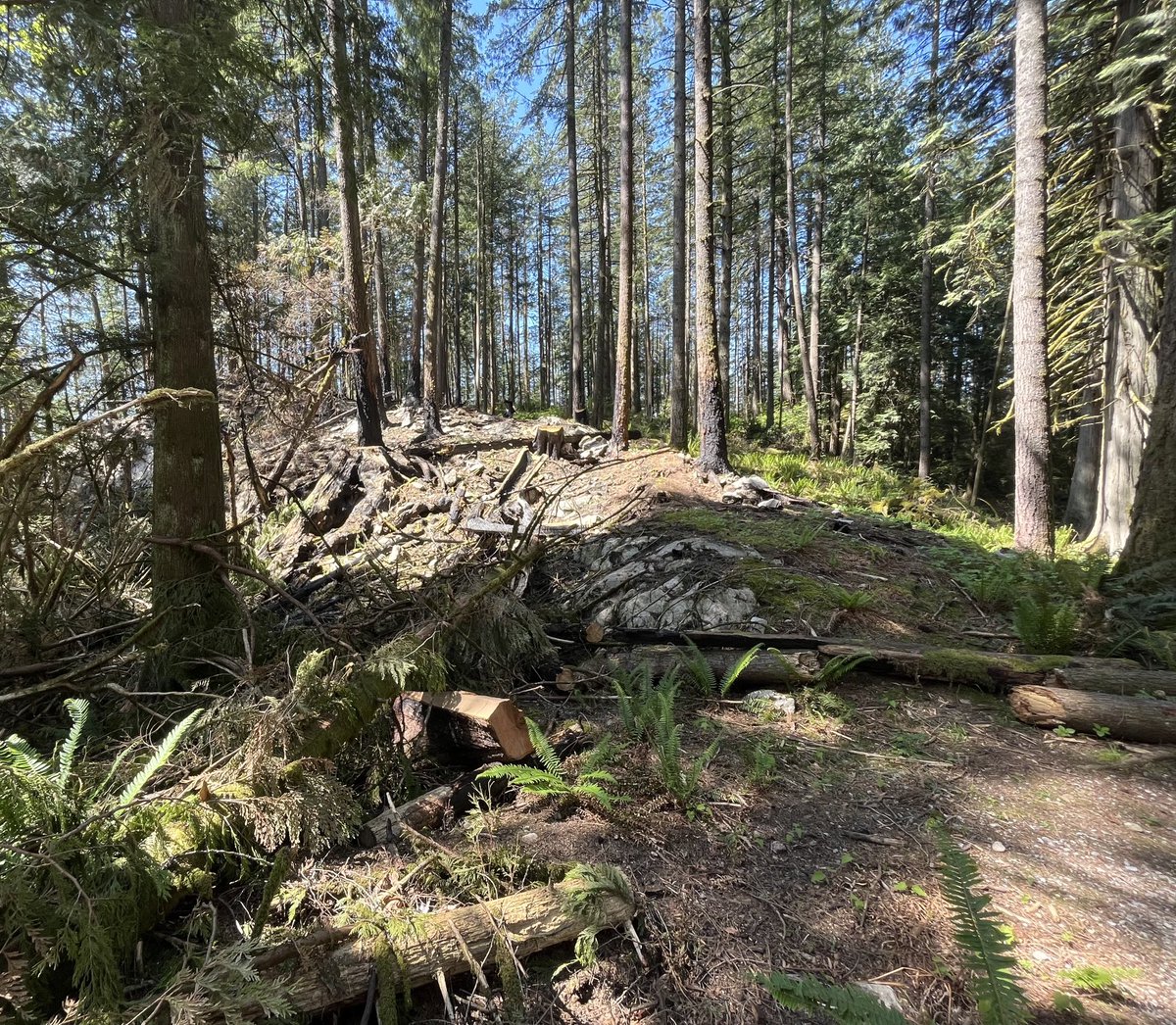 Keri Roberts tweet media