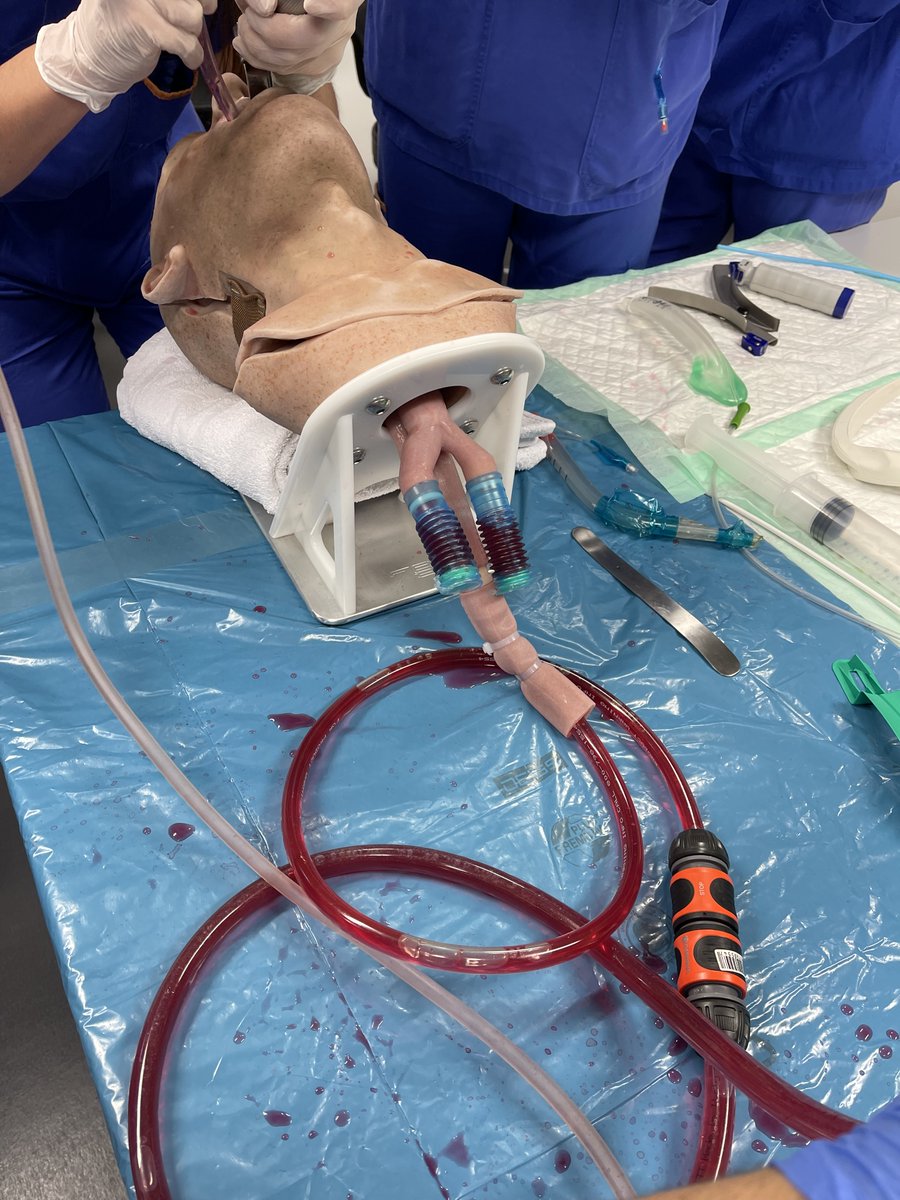 Learn #SALAD with <a href="/jducanto/">James DuCanto, M.D.</a> and the RUSH exam with @DieDgina faculty in Cologne on June 7th! 

Save your spot: notfall-campus.de/skills-und-koe…

@MatthiasBrachm2 @notfallcampus <a href="/eppler_fabian/">Fabian Eppler</a> @EM_simclub <a href="/thejuwo/">Justus Wolff DFTT</a>  

Ping <a href="/YoungDGINA/">YoungDGINA</a> <a href="/FrauenDGINA/">Frauen DGINA</a>