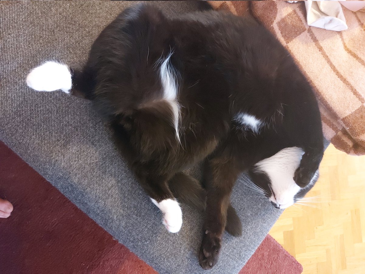 Such a distinguished gentleman.