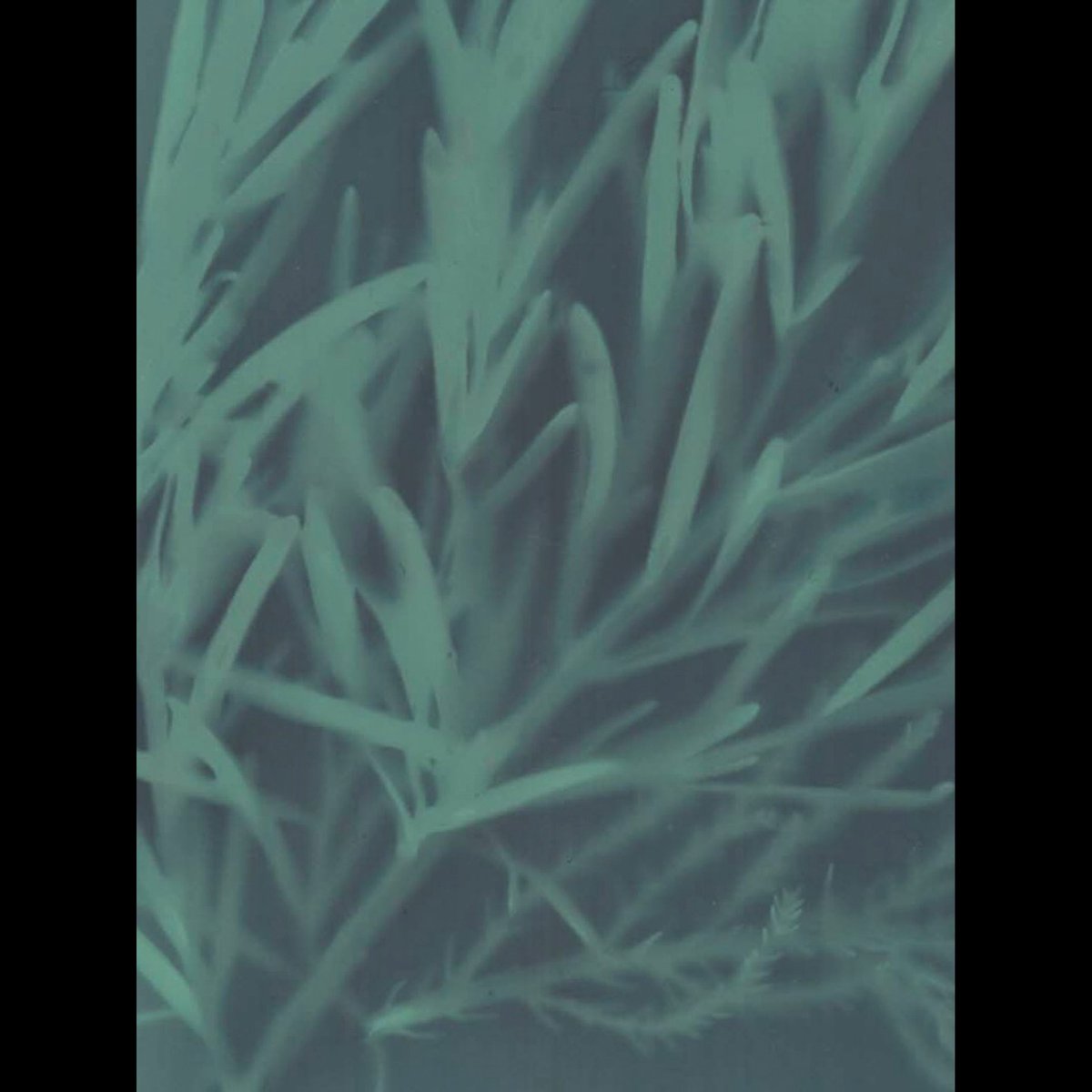 We’ve been using the fab <a href="/WellcomeLibrary/">Wellcome Library</a> archive in our exploration of inclusive #menopause at #Breightmet in my <a href="/ace_national/">Arts Council England</a> ‘Whose menopause?’ project. 

Field notes:

May: margebradshawphotography.co.uk/whose-menopaus…

April: margebradshawphotography.co.uk/whose-menopaus…

Credit: Wellcome Collection/Work by M and N.