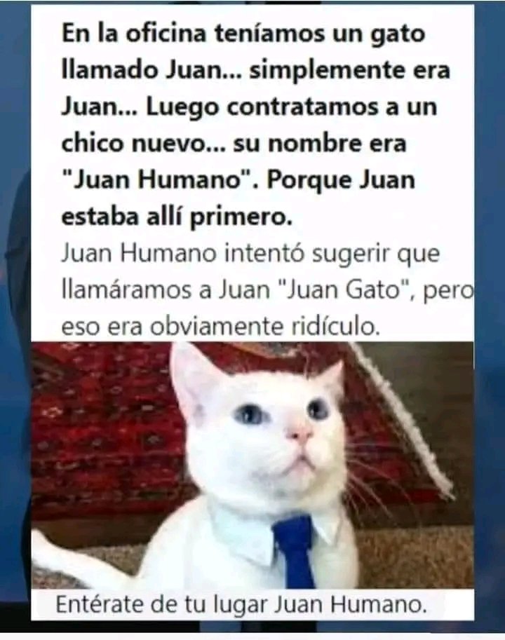 #Juan 🐱