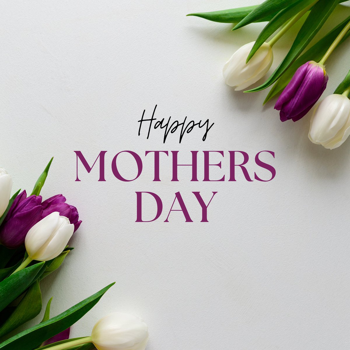 𝐇𝐚𝐩𝐩𝐲 𝐌𝐨𝐭𝐡𝐞𝐫'𝐬 𝐃𝐚𝐲 💜

Our team would like to wish everyone a lovely and pleasant Mother's Day. 💜

And for those who are grieving the loss or absence of their mother, our hearts and thoughts are with you on today.💜 

#HappyMotherDay2023