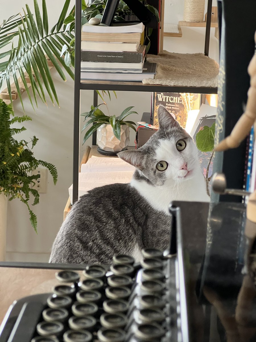 JohnRacioppo's tweet photo. Your pet and who they’re named after https://t.co/xiPP8vB0Id