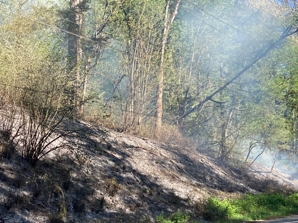 Valley Fire Fighters (@iafflocal1352) on Twitter photo 3 ALARM BRUSH FIRE- Your Valley Professional Firefighters and several other local agencies assisted Enumclaw with a 3 Alarm Brush Fire on the Enumclaw Black Diamond Rd near the Kummer Bridge. *Photos from <a href="/wspd2pio/">Trooper Rick Johnson</a> 3 ALARM BRUSH FIRE- Your Valley Professional Firefighters and several other local agencies assisted Enumclaw with a 3 Alarm Brush Fire on the Enumclaw Black Diamond Rd near the Kummer Bridge. *Photos from <a href="/wspd2pio/">Trooper Rick Johnson</a>