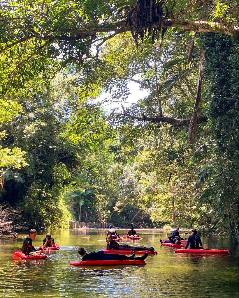 BackCountryBlis's tweet photo. How we do Monday mornings on the Mossman River... 💭🌿 Join us at Jinkalmu soon? 💦 #BackCountryBliss 

#portdouglasdaintree #exploretnq #thisisqueensland #seeaustralia #riverdriftsnorkelling https://t.co/3A8YaHXisI https://t.co/3txuPcvDau