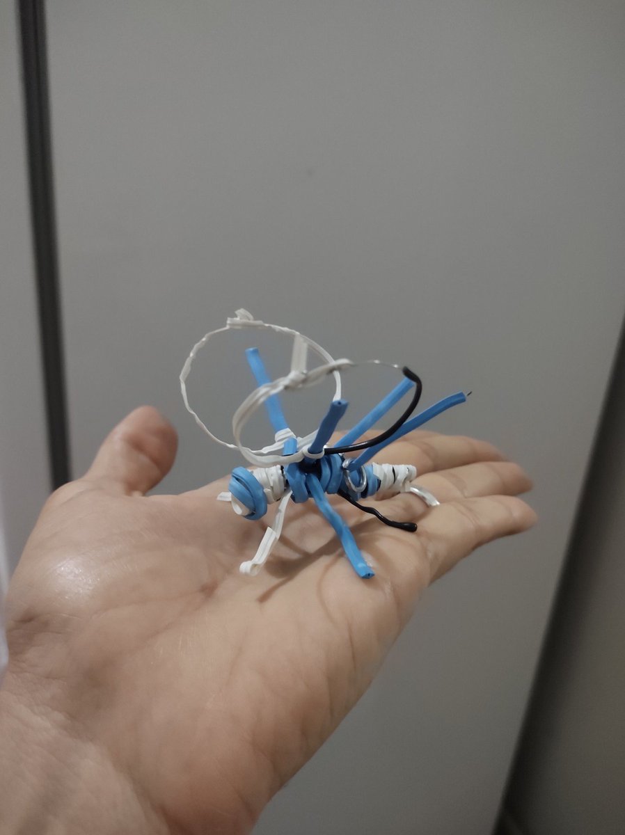 Lucas Kias | 🎨 Arte & Ciência 🧬 tweet media