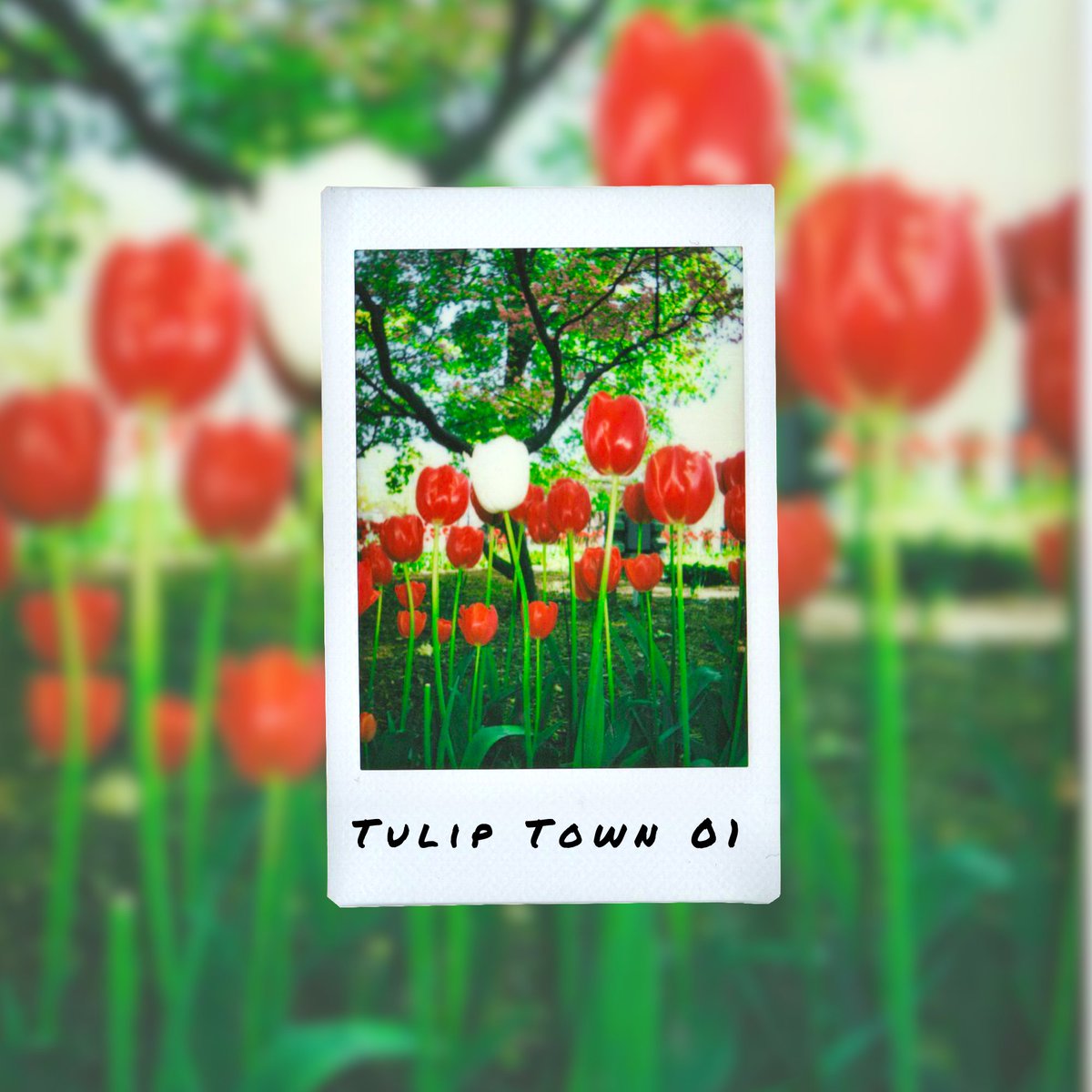 Raven50MM tweet media