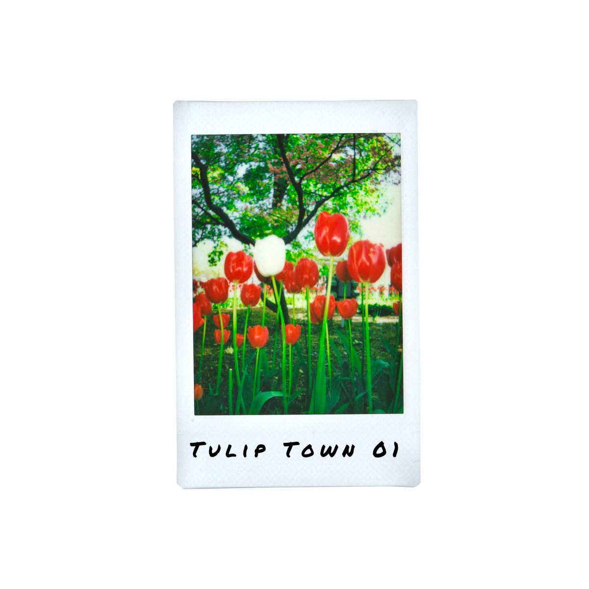 Raven50MM tweet media