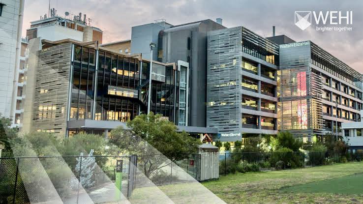 I’m looking for a Science Education Lecturer to join our team @WEHI_research Do you have: 📣 passion for science communication 💡 exciting ideas for graduate education 🔬 research background 👩 networking skills wehi.wd3.myworkdayjobs.com/en-US/WEHI/det… Contact me if you have any questions!