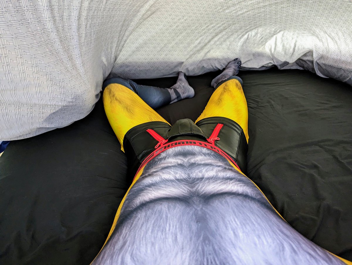 Xion on Twitter "GShep chest space available! Prime real estate to lay