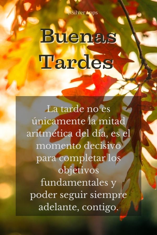 cambar_adrian's tweet photo. Que Dios bendiga y haga milagros en esta hermosa tarde🌇🌄!! 
#DíaDeLaMadreEnAmor

@YarytzaR6 @luis16684716 @SoyYolit2 @yenny_escorche @yoibelin1 @Olinto012 @VicmarVikivjam @KarolSalas89 @Josefinc055 @Aury12_ @Fredd22_ @MiFursona @Enrique99415929 @Evangel08625120 @Enrique99415929 https://t.co/R5uAcG2LYY