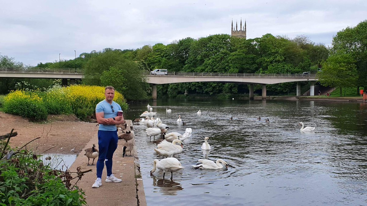 jamesboddice44's tweet photo. Swans https://t.co/4eWaUxe2yI