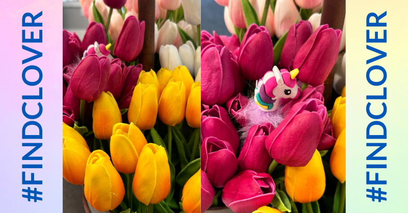 makeawishohkyin's tweet image. 🌷 Clover has been hanging out in the tulips and said to tell your mom Happy Mother's Day, Mya! Happy Mother's Day Becca!

🧁 Tag us on social and send us your clues from Clover: oki.wish.org/findclover

🦄 #FindClover #MakeAWish #MothersDay #WishFamily #WishParent #WishMom