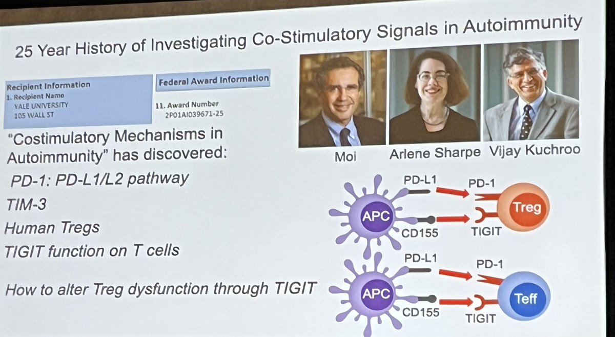Fareeha Saadi, PhD (@fareehasaadi1) on Twitter photo Great talk by <a href="/DavidHaflerMD/">David Hafler</a> today at #AAI2023 <a href="/ImmunologyAAI/">The American Association of Immunologists (AAI)</a> Tregs be so interesting. Great talk by <a href="/DavidHaflerMD/">David Hafler</a> today at #AAI2023 <a href="/ImmunologyAAI/">The American Association of Immunologists (AAI)</a> Tregs be so interesting.