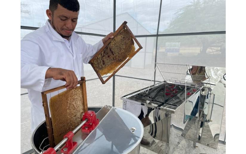 ElDiarioNica's tweet photo. @intanicaragua, inauguró el Centro de Desarrollo de Tecnologías para la Apicultura ubicado en el Municipio de Comalapa, Departamento de Chontales. #nacional #Tecnologia https://t.co/2dS70afgHn
