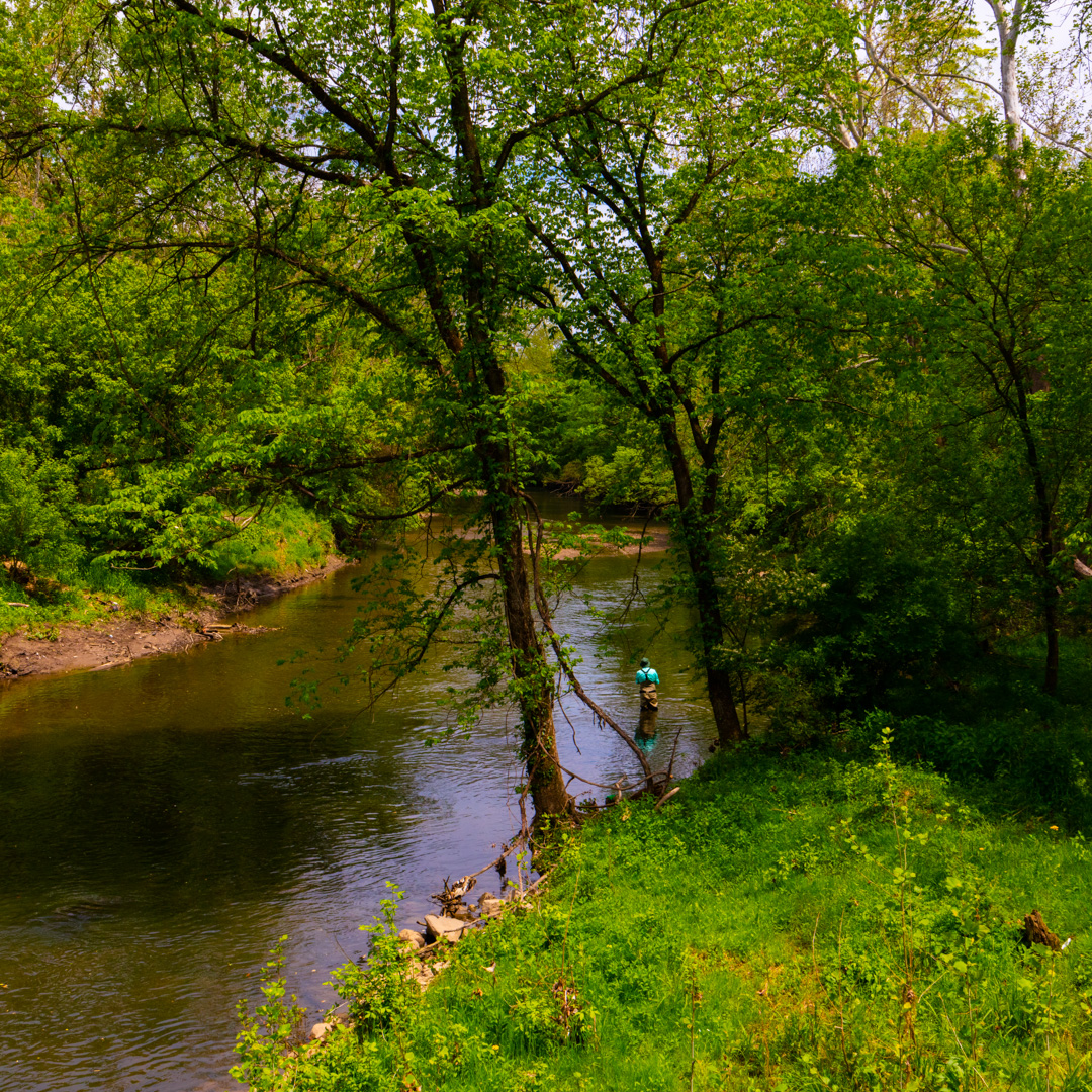 A fun-filled Sunday exploring nature and riding bikes with my good friend Brandon. ❤💕🚵‍♂️💕🚵‍♂️💕❤
•
#bikeride #cyclinglife #naturelovers #bikepath