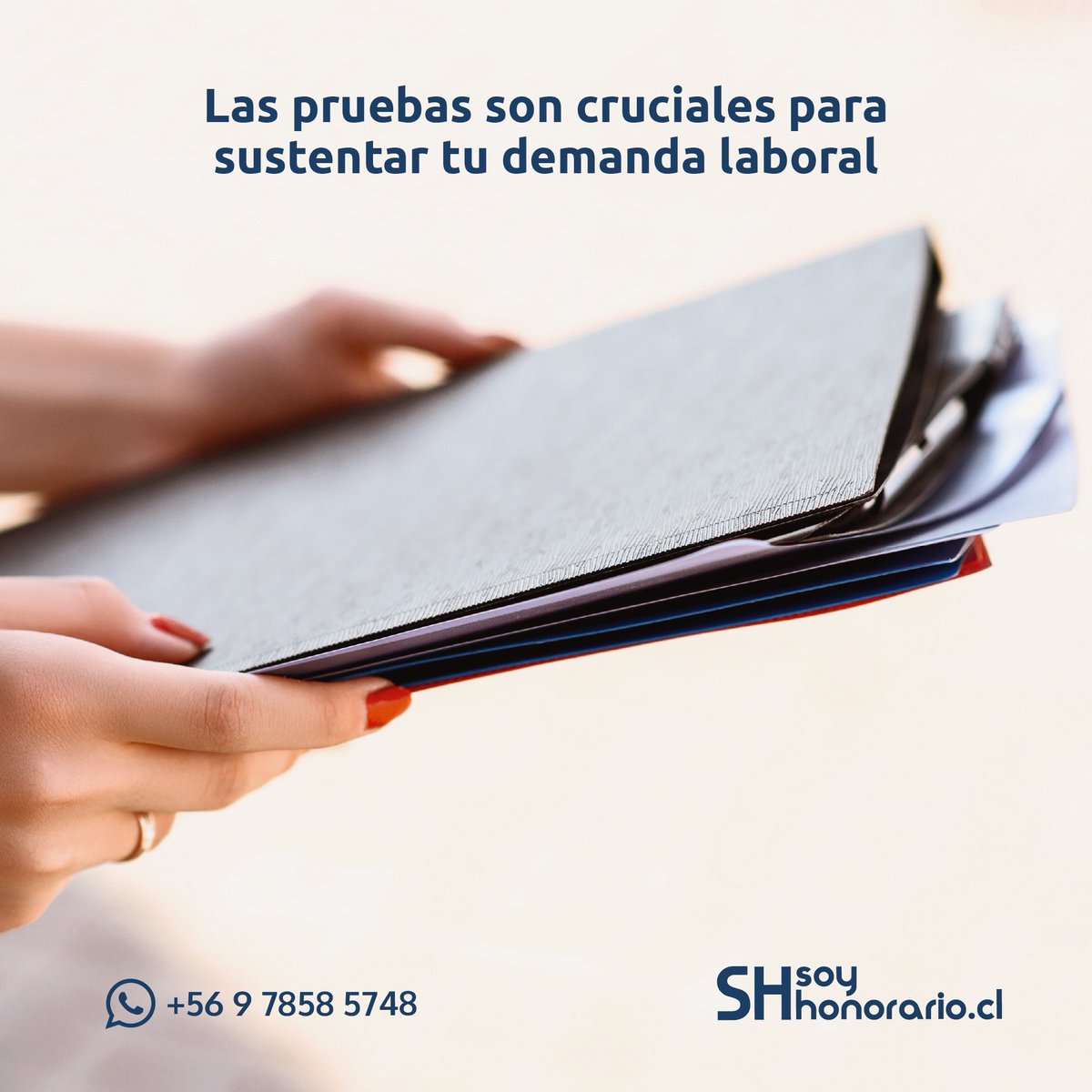 Pruebas e idealmente testigos son cruciales para establecer los hechos. Para informarte sobre qué evidencias requieres, agenda por escrito una asesoría gratuita mediante el WhatsApp  +56 9 8149 6614