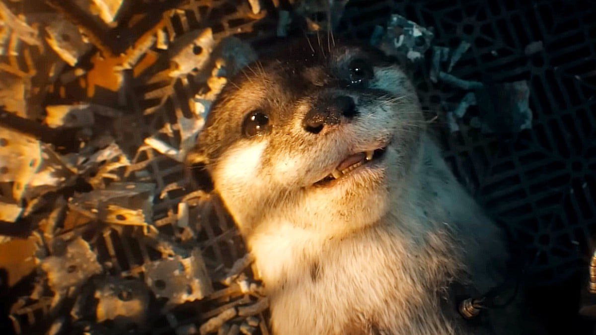 In some ways, Lylla was the mother of their little group. #GotGVol3 #LyllaRocketTeefsFloor Wonderfully written and directed by <a href="/JamesGunn/">James Gunn</a> and brought to life by Linda Cardellini. (She really deserves an award for that performance.)