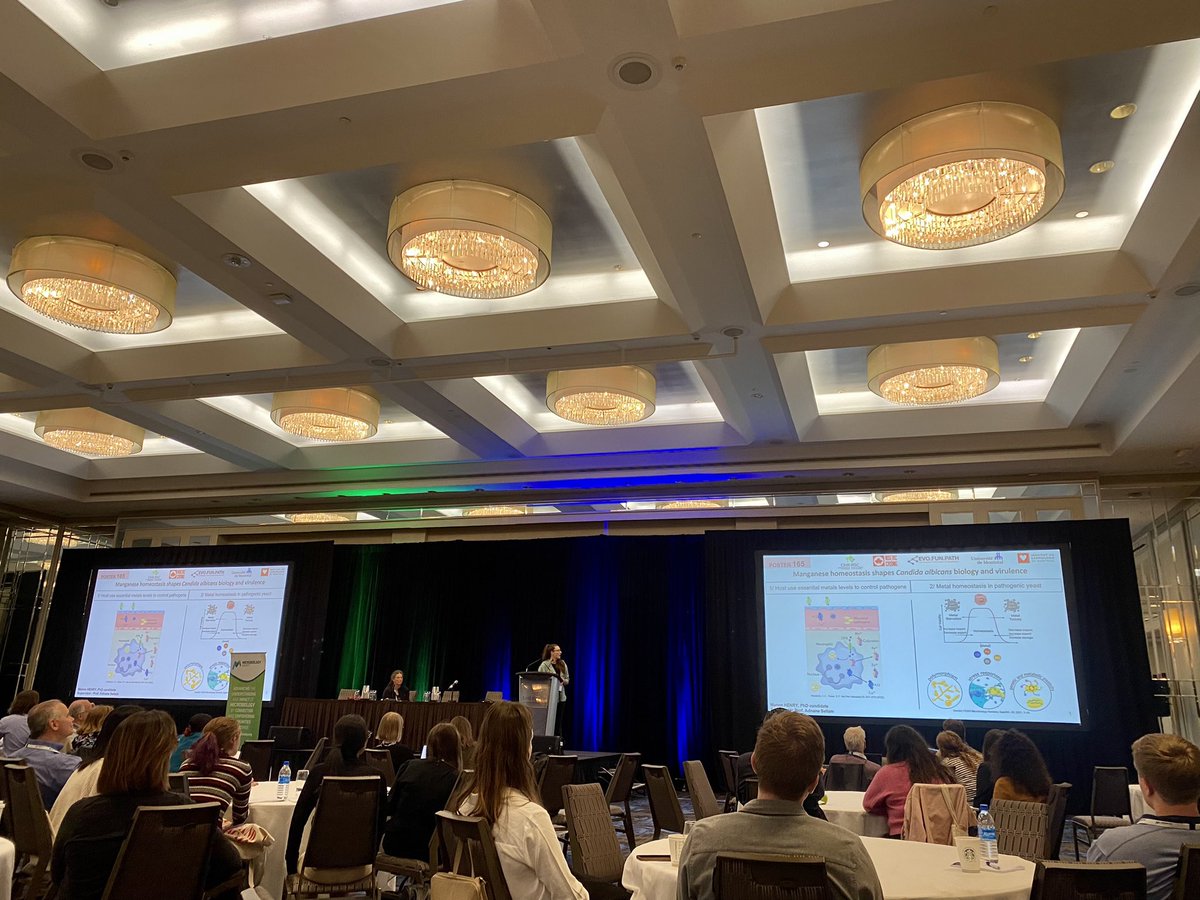 Great elevator talk and poster by <a href="/HenryManon12/">Henry Manon</a> about how manganese homeostasis shapes fungal biology and virulence of Candida albicans #Candida2023