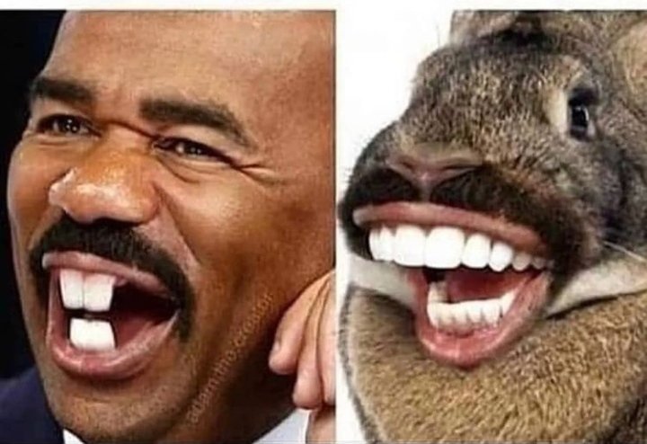 unkwnm1's tweet photo. @NoContextHumans Found it on Twitter https://t.co/ekvsCAL8a3
