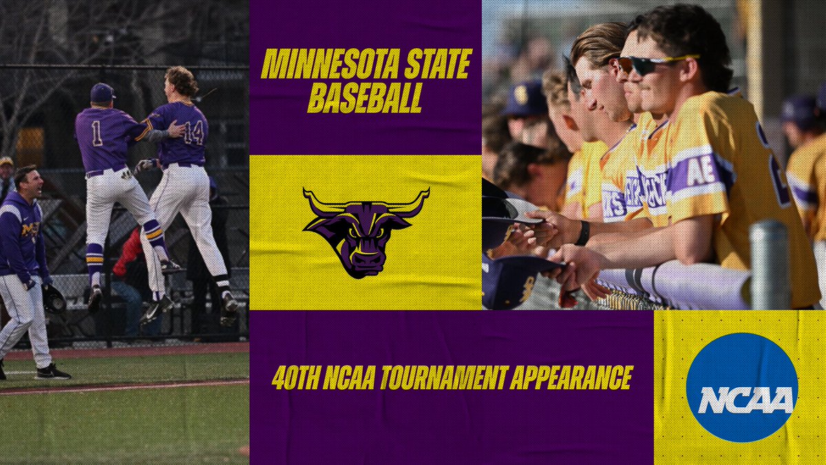 Minn State Baseball tweet media