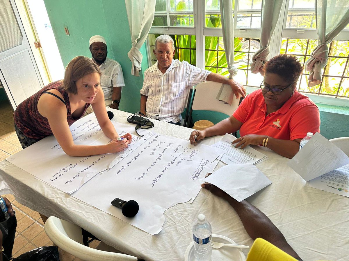 Natasha Constant tweet media