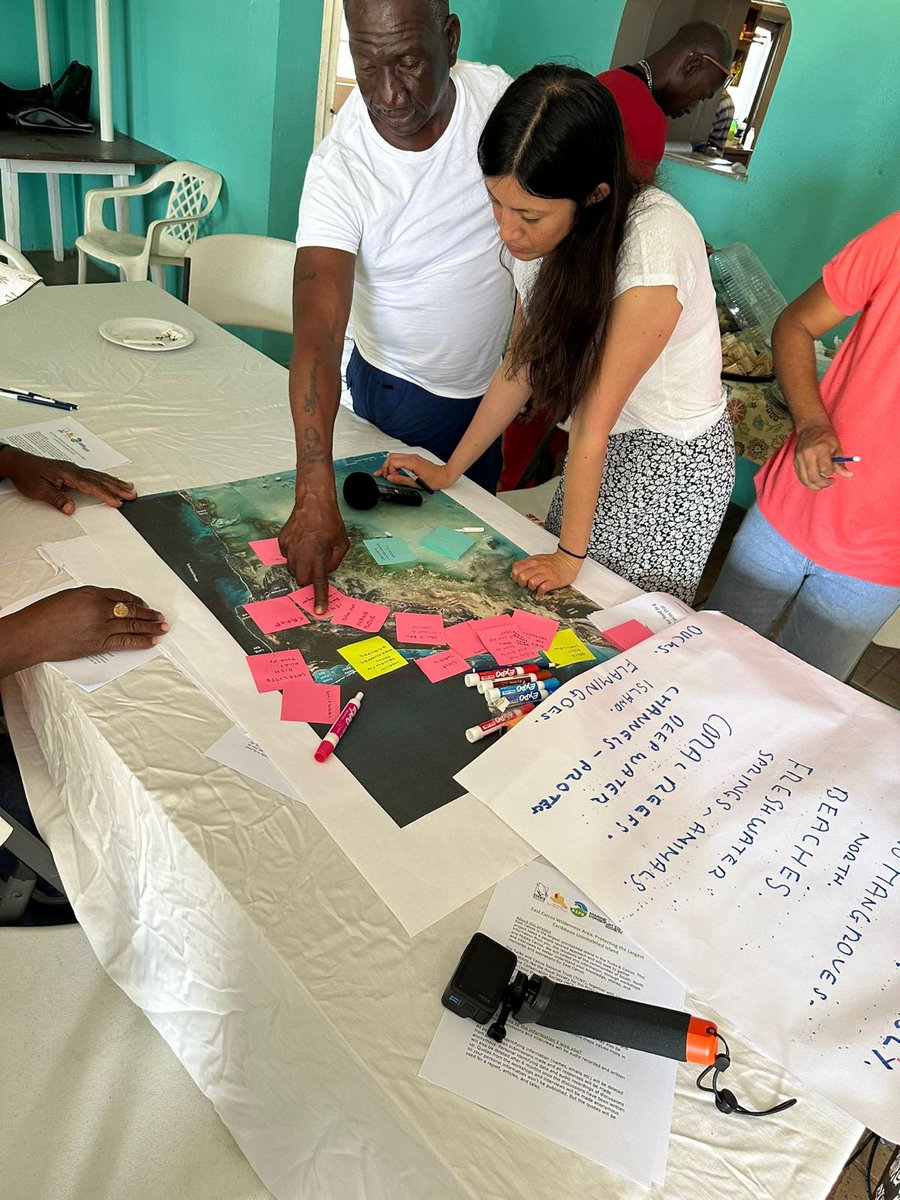 Natasha Constant tweet media