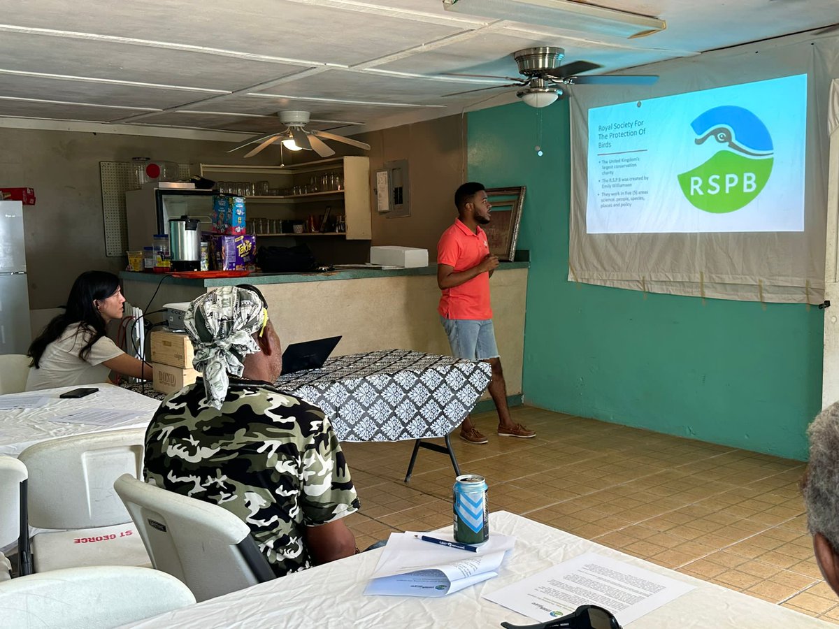 Natasha Constant tweet media