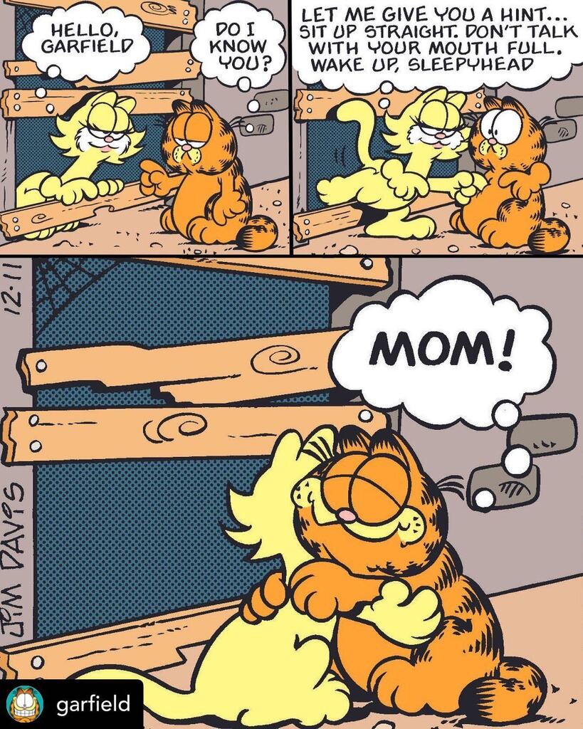 Zenahir's tweet photo. Reposted from @garfield: mother knows best! 

❤️ All moms are the same! 💛 ¡Todas las mamás son iguales! 🧡

#HappyMothersDay #MothersDay #Mom #MotherKnowsBest #TheresOnlyOneMom #MotherLove #EverlastingLove #UnconditionalLove #Love #Forever #FelizDiaDe… https://t.co/spqaB4IPVo https://t.co/1Hw2gCXtFr