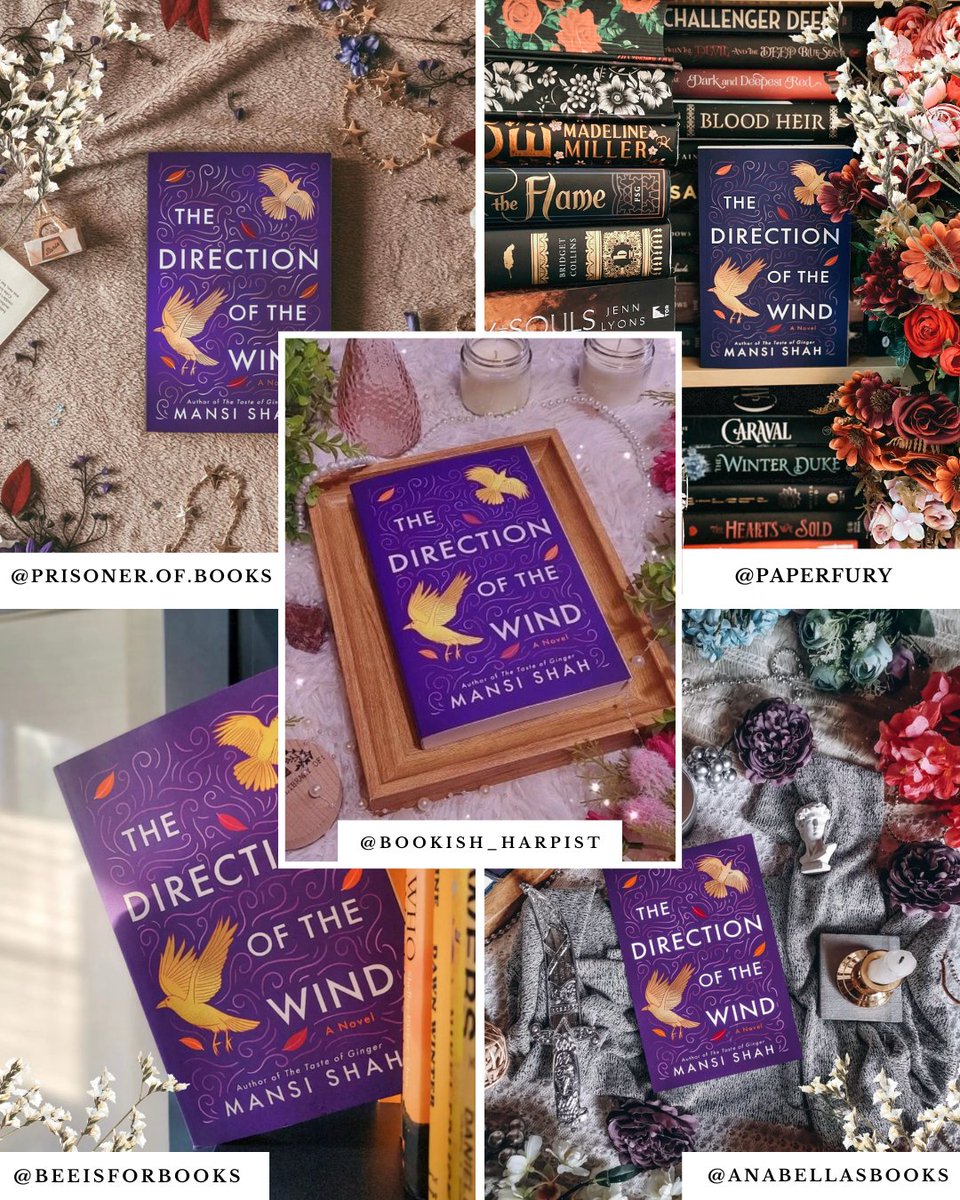 MTMC Tours ✨📚 tweet media