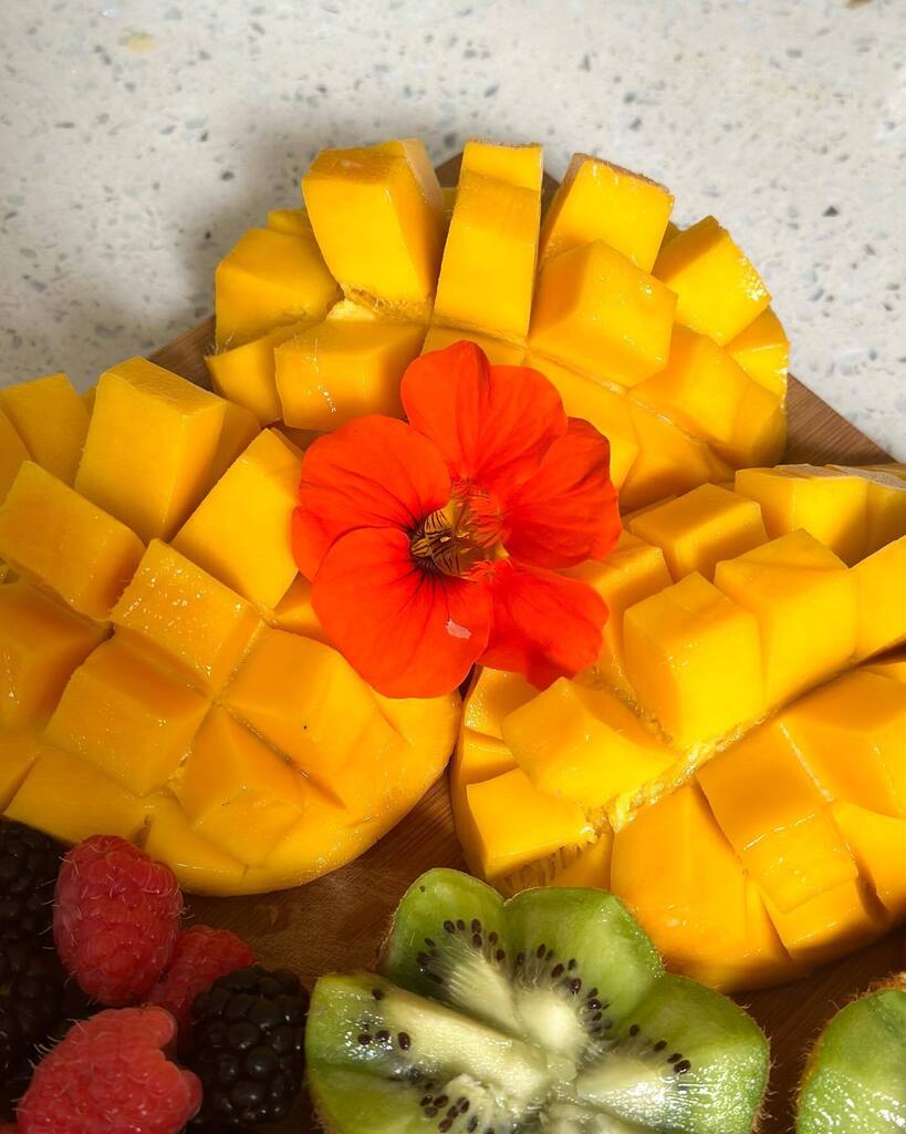 drholistics's tweet photo. Sunshine on a platter ☀️

#fruit #food #fruits #healthyfood #healthy #vegan #foodie #healthylifestyle #foodporn #love #yummy #nature #instafood #fresh #breakfast #foodphotography #organic #summer #delicious #vegetables #strawberry #health #instagood #des… https://t.co/nDhXESATkB https://t.co/QX0sxOhJK2