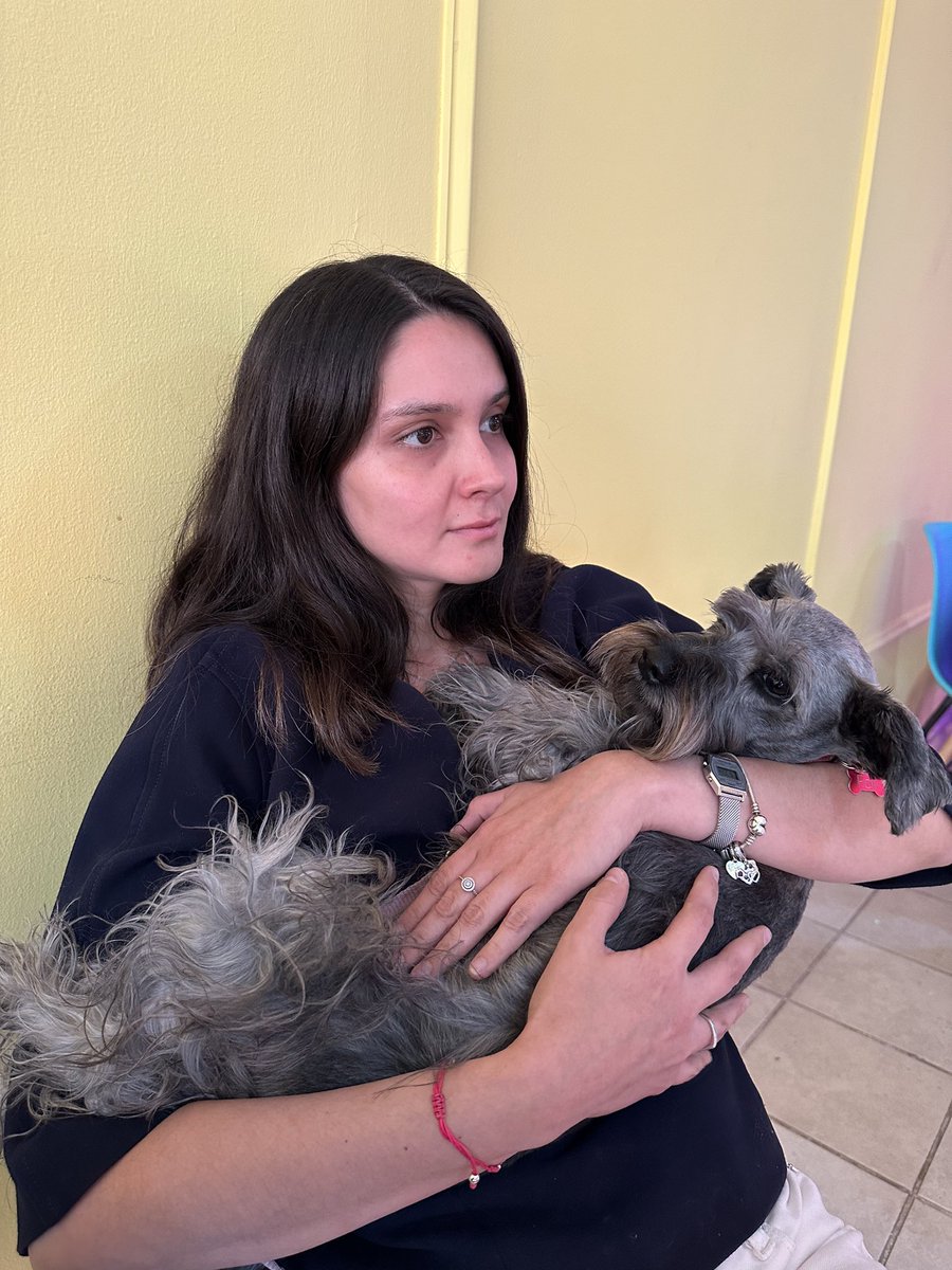 Diarabella_'s tweet photo. Psicólogo: Tus perros no son tus hijos
Mis hijos y yo en terapia: https://t.co/2yzlYnLGKI