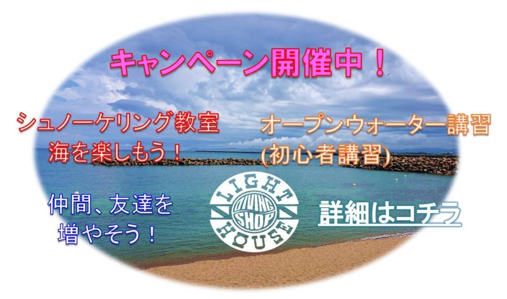 LIGHT_HOUSE1990's tweet image. 5月13日～14日大瀬崎にて～