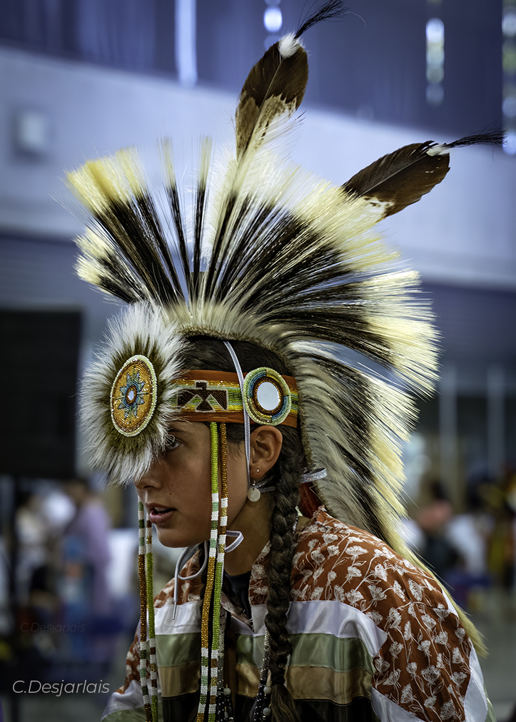 Indigenous Point tweet media
