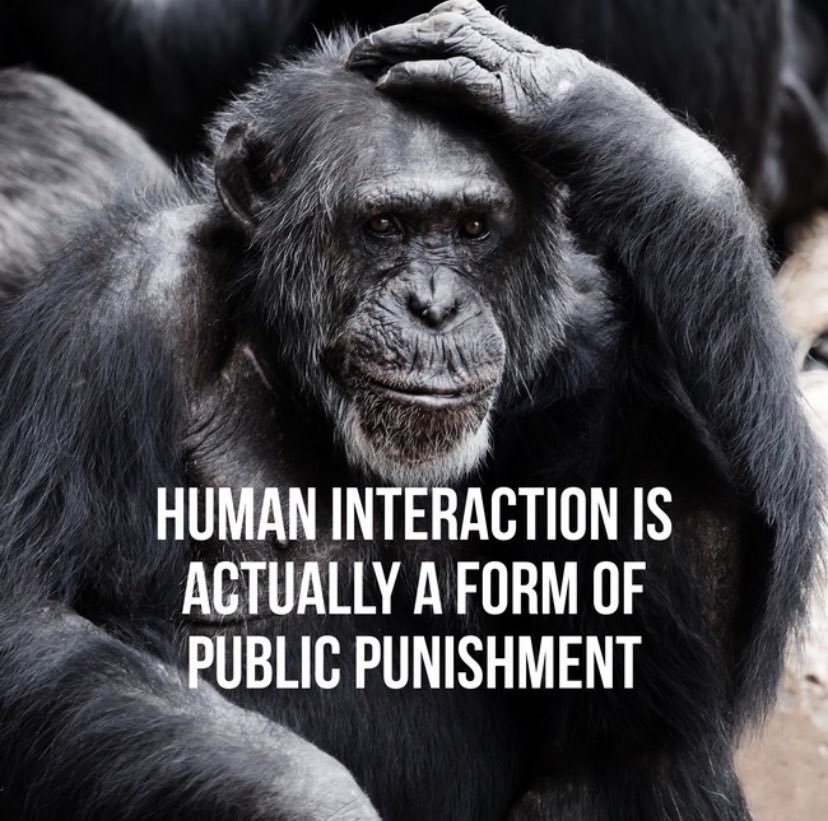 JayDeeMinecraft's tweet photo. Very wise @TheInspiroBot is. It understands introverts. #inspirobot https://t.co/fgjOzq3pP2
