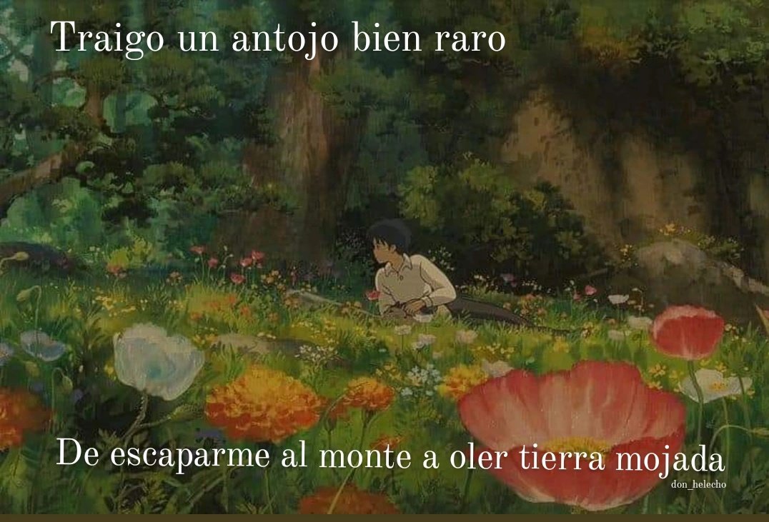 don_helecho's tweet photo. Solo para eso voy al bosque 🍃 https://t.co/vkflups4oc