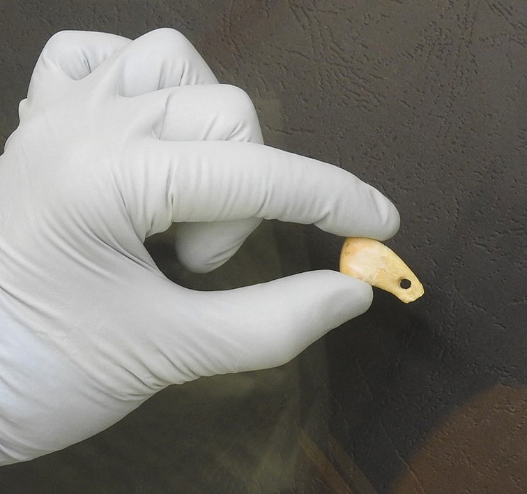 RetourPaleo's tweet photo. L'épopée moléculaire pour récupérer et séquencer l'ADN ayant manipulé des pendentifs vieux de  20000 ans
Le récit https://t.co/5qHVaBTTgy
L'étude  https://t.co/2hvdwBHmsQ https://t.co/TUyKpM4hoy