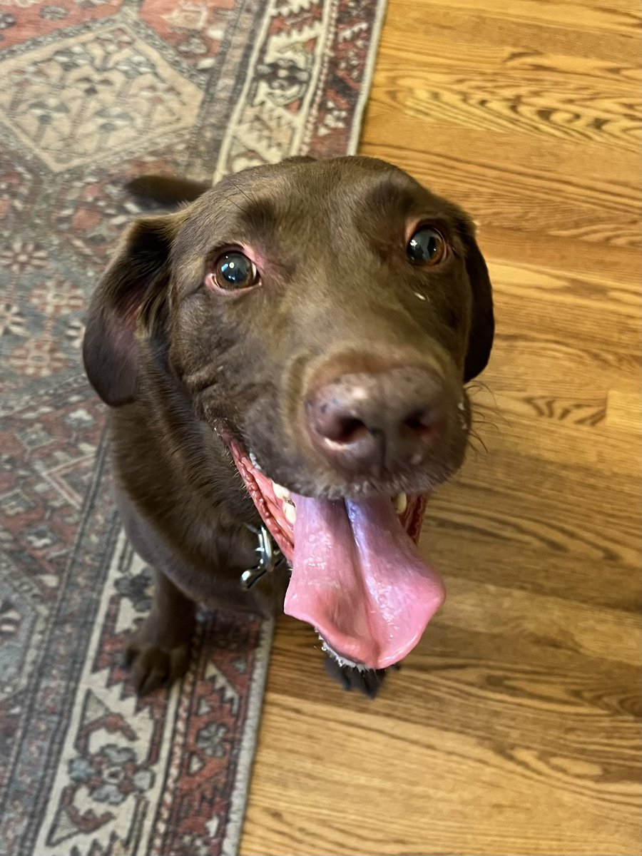 Joel Young, CBM tweet media