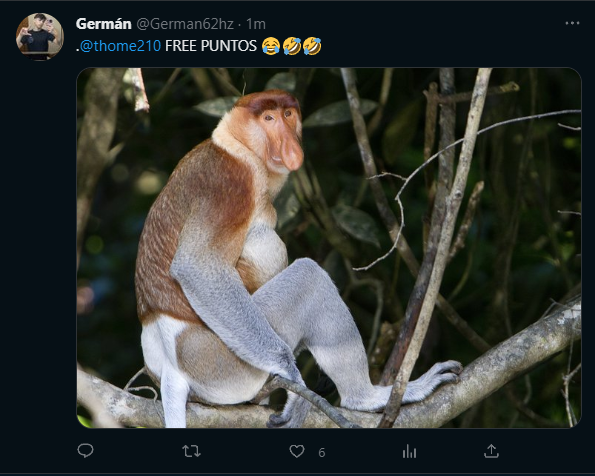 thome210's tweet photo. Coisa linda comunidade inteira dos racistas opa, Argentinos* continuam sendo abertamente racistas pq @EpicGamesBR não faz nada vergonhoso 

Epic passando pano pra racista kkkkkkkkk

não tem 1 PRO argentino que não tem clipe sendo racista

Parabéns Epic https://t.co/RhdlE8yg1R