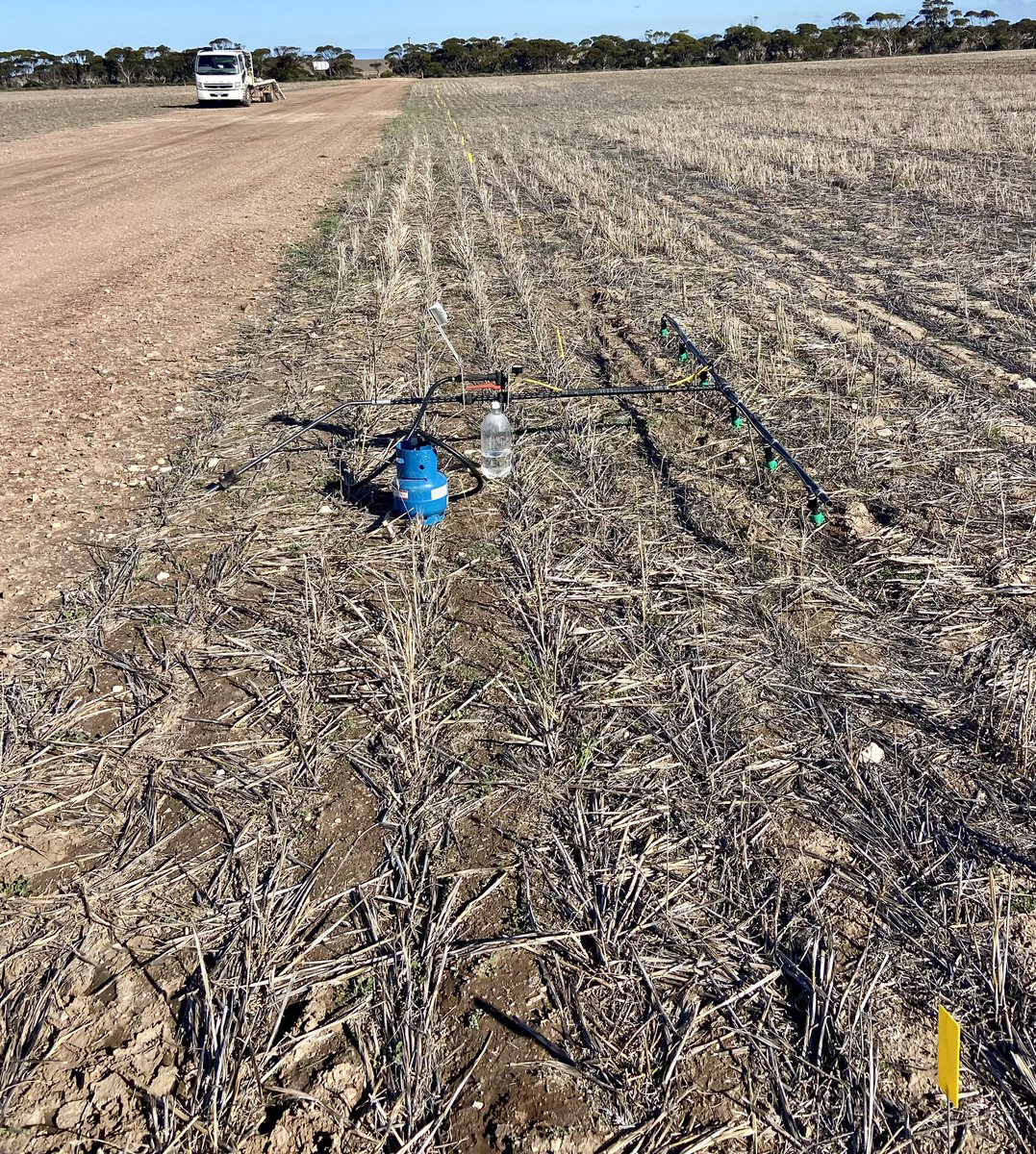 2023 research and learning trial site in the ground. Lots of optimism for another exciting season. 
Thanks <a href="/Ware_AH/">Andrew Ware</a> and the team for putting it in. 🤘🏽🤘🏽