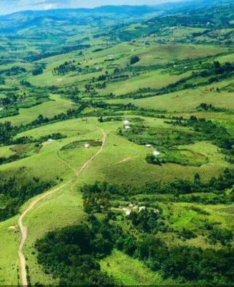 Beatrice Gisaro tweet media