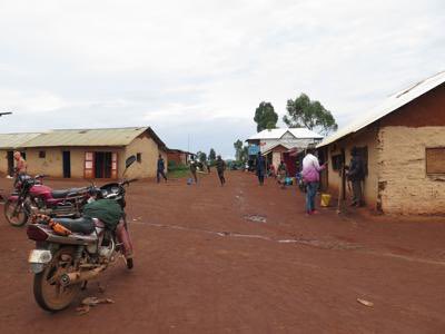 Beatrice Gisaro tweet media