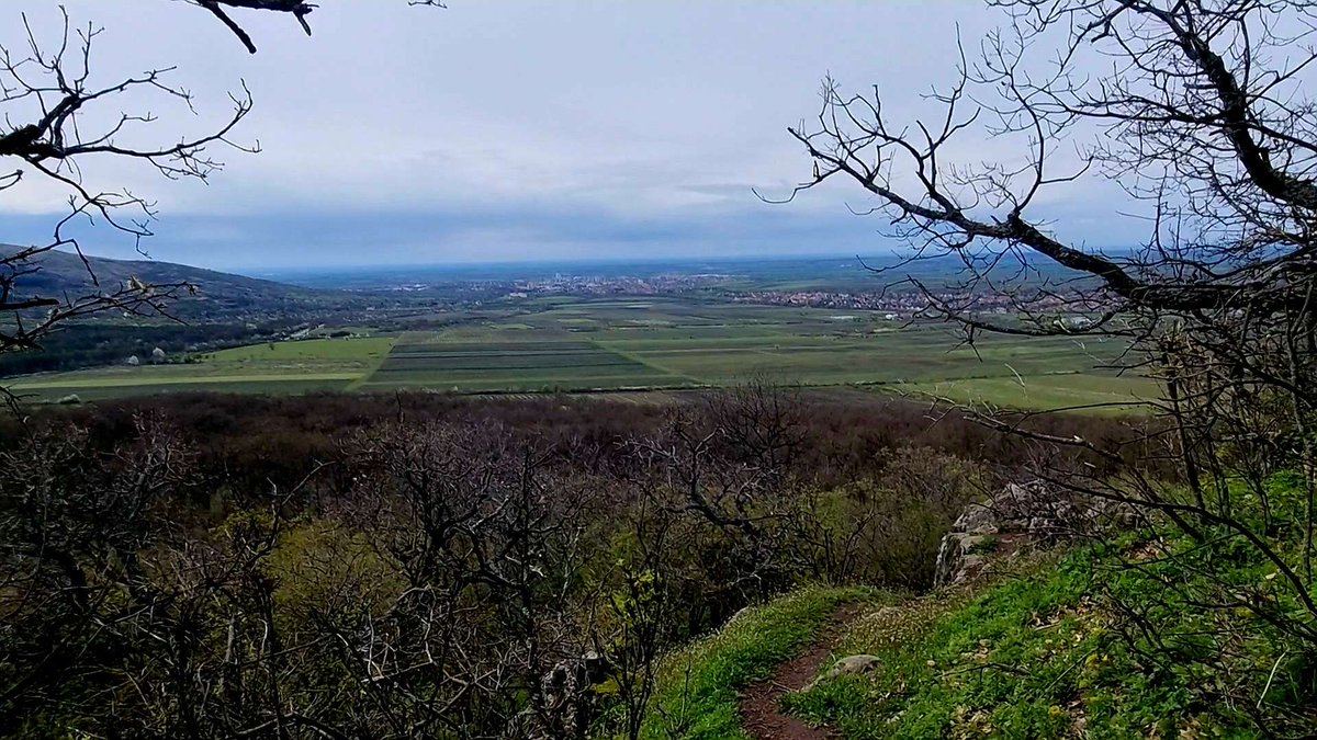 Mirtneyt's tweet photo. #ahrietta #utolsoTV #undefeated #undefeatedhu #ahri #lol #streamers #stream #hungary #hevesmegye #mátra #mátratúra #hegyek #erdő #youtube #twitch #girl #boys #peace #Mountain #mountains #naturelovers #nature #anime #travelers #travel #ontheground #grounded #WildYouth #wild https://t.co/bs9Mr5MAd7
