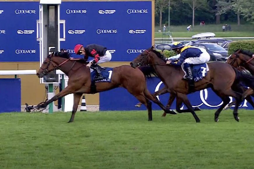 Jaime Roth on Twitter: