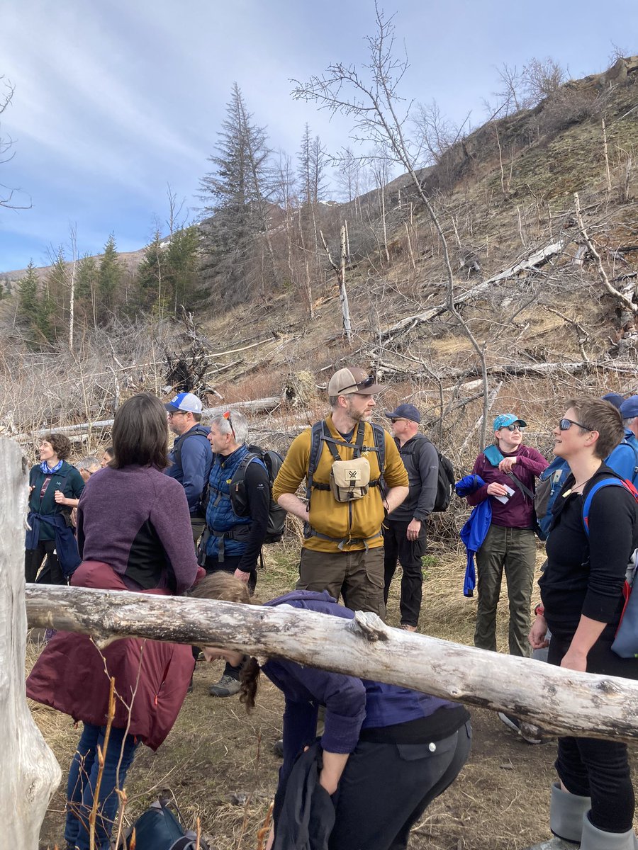anna_skarin's tweet photo. Contemplating in Talkeetna after a very nice week @nacw_auc_2023 #crossingboundaries discussing important #Rangifer #indigenous matters, meeting all these nice people &amp; going for snow workshop and botany hike ☺️ https://t.co/OrihenqEMl